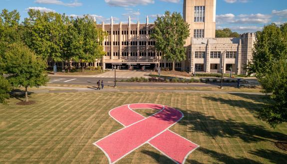 pink ribbon for breast cancer