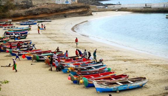 In the last 500 years, the people of Cabo Verde have evolved at a breakneck pace -- thanks to a genetic variant, inherited from their African ancestors, that protects against the ravages of malaria. Credit: F. Mira