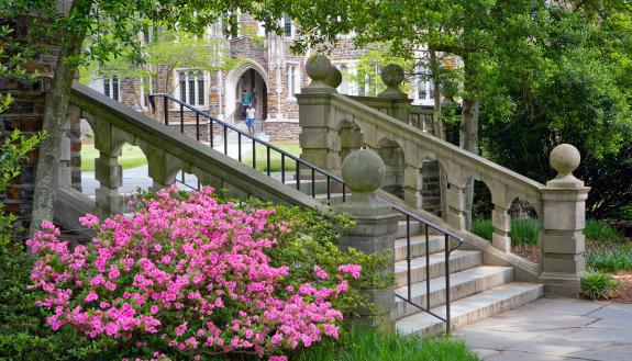 Flowers by some steps on West Campus.