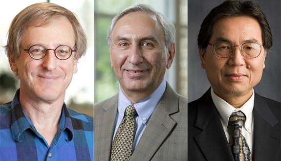 Three Duke scientists have been recognized by the Royal Society of Chemistry (L to R): David Beratan, Michael Rubinstein and Tuan Vo-Dinh