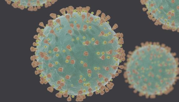 SARS-CoV-2, the coronavirus that causes COVID-19, appears to have evolved silent changes to its RNA code that gave it a biological edge over previous strains. Credit:  Felipe Esquivel Reed