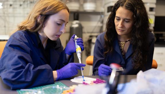 DST will improve resources for researchers and students