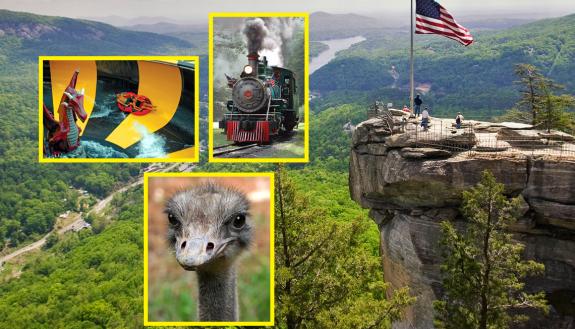 Whether you want thrill rides, wildlife or mountain scenery, there are plenty of fun summer deals available for Duke employees.