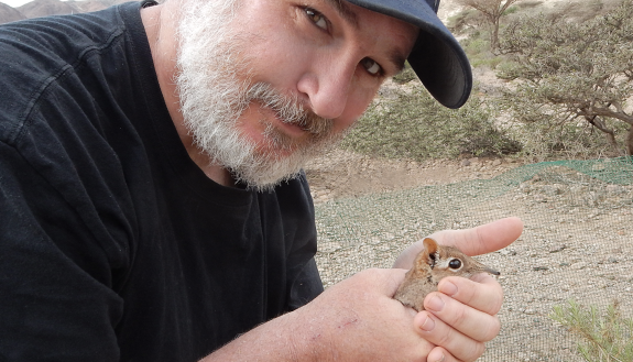 Steven Heritage holds one of the rediscovered Somali Sengis in the field in Djibouti.