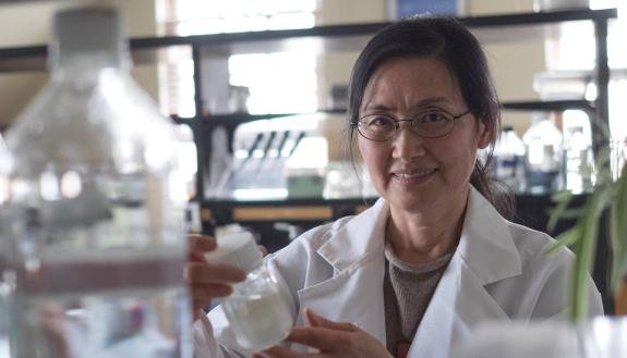 New Duke faculty member Ke Dong is part of a targeted recruitment effort supported by the Duke Endowment to advance faculty hiring in the sciences. Credit: Michigan State University