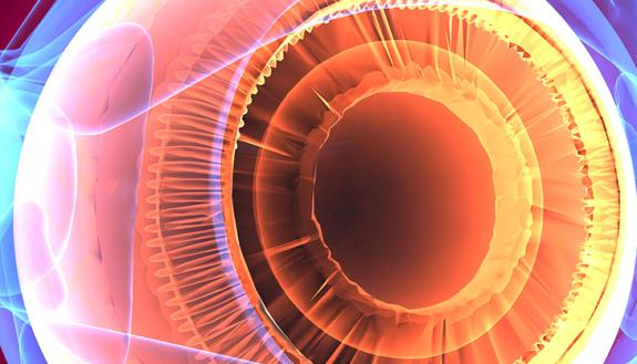 Strategy prevents blindness in mice with retinal degeneration