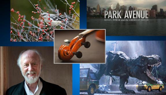 Collage of photos of a bird, the New York skyline, a violin, a dinosaur and author Allan Gurganus.