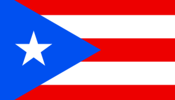 Gulati: Puerto Rico -- Devastation Without Representation