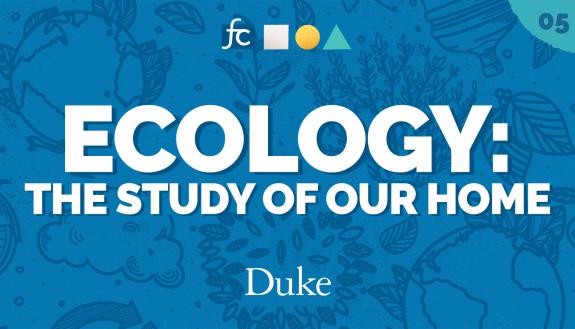 Ecology: The Study of Our House YouTube Graphic