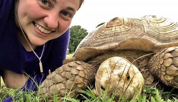 Duke employee Alyssa Brewer meets a sea turtle at Ocean Isle Beach.