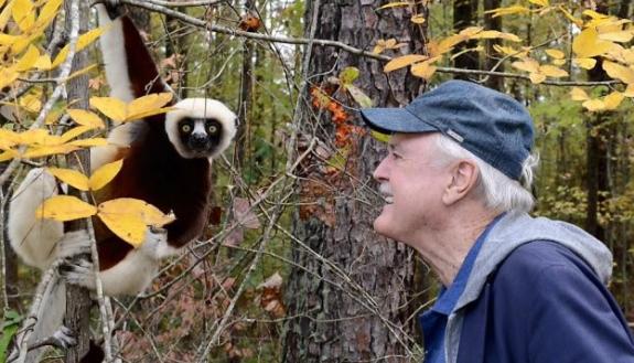 John Cleese last visited the Duke Lemur Center in 2017, where he made the acquaintance of a Coquerel’s sifaka named Romulus. (David Haring – Duke Lemur Center)