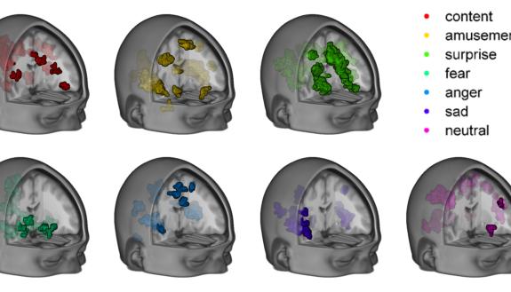 A Duke team has mapped the distinct patterns of brain activity that correspond to seven different emotional states. The brain anatomy presented here is an average of data from 32 study subjects.  (Credit: Philip Kragel, Kevin LaBar, Duke University)