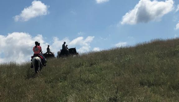 Two people riding horses up a grassy hill.