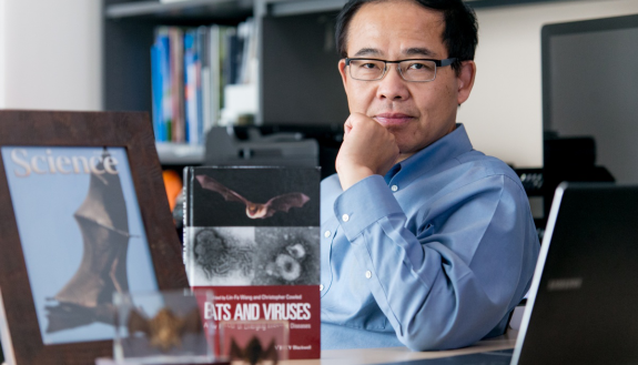 Linfa Wang, PhD, is known by the nickname 'Batman' at Duke for his expertise in studying viral transmission between bats and humans.