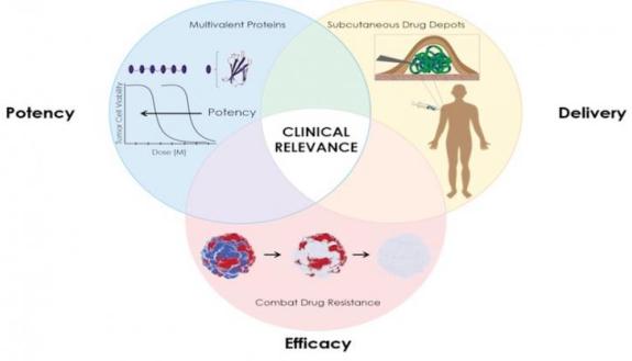 Recombinant proteins may become more important as anti-cancer biologic drugs if they can be delivered in selected combinations by a slow release gel. (Credit: Mandana Manzari)