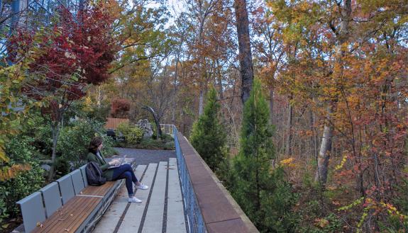 Murphy-Nimocks Meditation Garden.