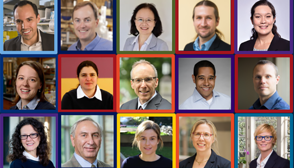 Team: Luis Campos, Stephen Craig, Jian Ping Gong, Jeremiah Johnson, Julia Kalow, Rebekka Klausen, Heather Kulik, Jeffrey Moore, Alshakim Nelson, Bradley Olsen, Monica Olvera de la Cruz, Michael Rubinstein, Corinna Schindler, Nancy Sottos, Nicole Steinmetz