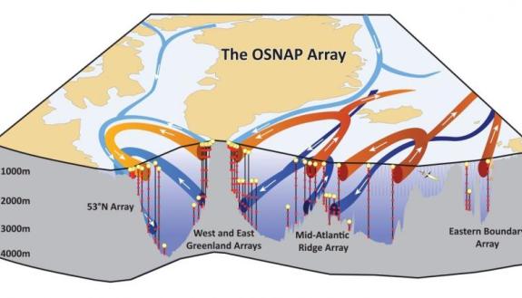 New research shows the Atlantic meridional overturning circulation, which regulates climate, is primarily driven by waters west of Europe. (Credit: Carolina Nobre, WHOI Media)