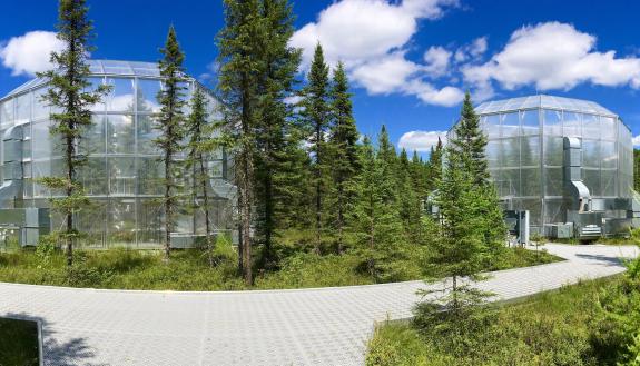 A research project funded by the U.S. Department of Energy uses climate controlled chambers to study the impact of global warming on peat mosses and the microbes they interact with. Credit: DOE/Oak Ridge National Laboratory.