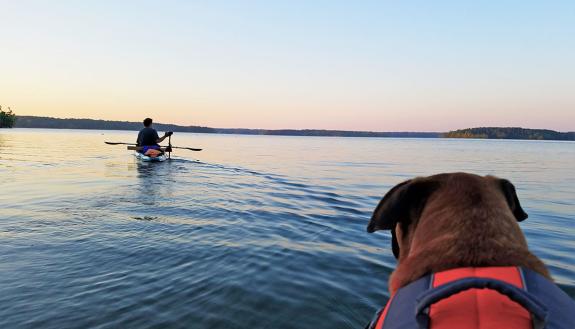 Samantha Shaltz took this photo of her husband and dog on Kerr Lake for the #DukeTimeOff campaign.