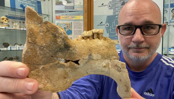 Steven Heritage, a researcher at the Duke Lemur Center’s Museum of Natural History, holds the 33-million-year-old fossil mandible of an extinct sea cow which is related to modern manatees. (Catherine Riddle)