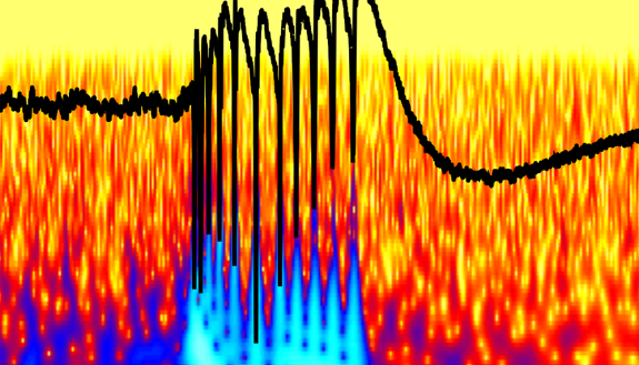 This colorful graph shows a peak of abnormal epileptic brain activity in a brain's hippocampus in which an inhibitory protein called InSyn1 has been depleted. Credit: Akiyoshi Uezu, Dan Kanak and Scott Soderling