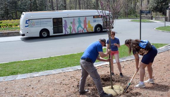 Duke staff and students took part in a tree-planting event near the Chapel Drive traffic circle Wednesday. Photo by Stephen Schramm,,
