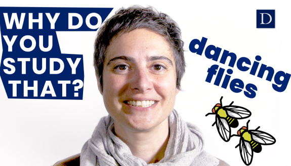 Pelin Volkan studies dancing flies