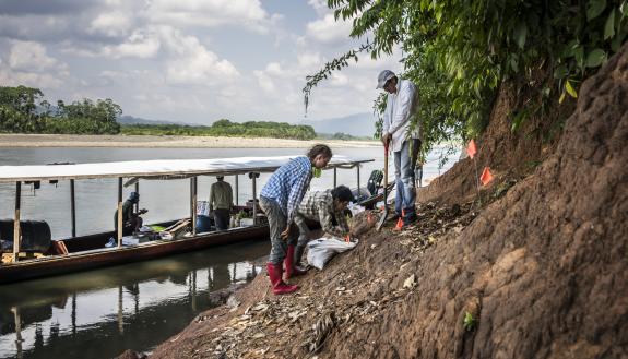 These fossil-rich sediments along the Alto Madre de Dios River in southern Peru have yielded hundreds of fossil teeth and bones, clues to what life in the Amazon was like 18 million years ago. Photo by Wout Salenbien, PhD, Duke University. 
