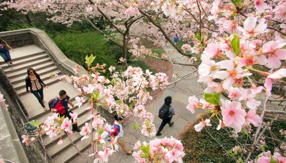 Flowers blooming on West Campus.