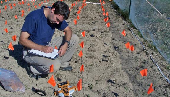 Justin Wright, associate professor of biology at Duke, works on a study which is a collaboration with researchers from Syracuse University. Photo courtesy of Justin Wright.