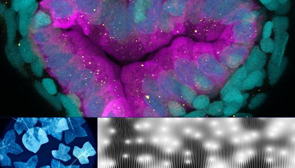 Works from the Art of a scientist exhibit