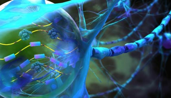 The Duke Center for Advanced Genomic Technologies aims to investigate and re-engineer the inner workings of cellular gene regulation machinery and networks