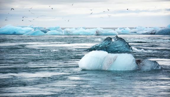 Elizabeth Losos: Tackling Climate Resilience By Building On The Inflation Reduction Act