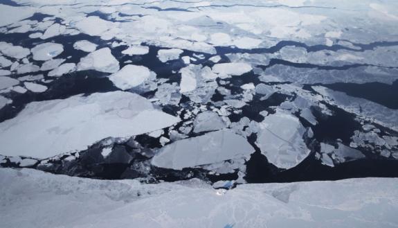 Ashley Ward: Why We Must Rethink How We Confront Climate Change