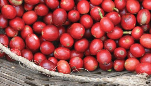 coffee beans