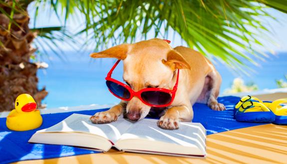 What’s on your summer reading list? Tell us about a book that transports you to another place.