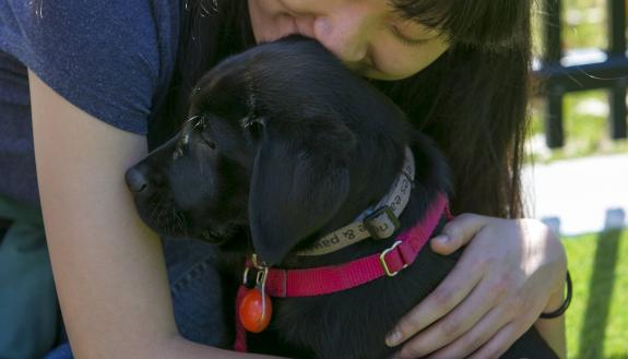Brian Hare | Vanessa Woods: We - And Our Dogs - Need Time To Ease Back Into Our Pre-COVID Lives