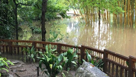 Duke Gardens flooded
