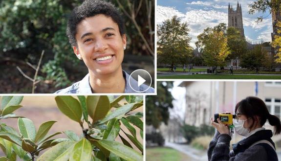 video about management of Duke's Trees