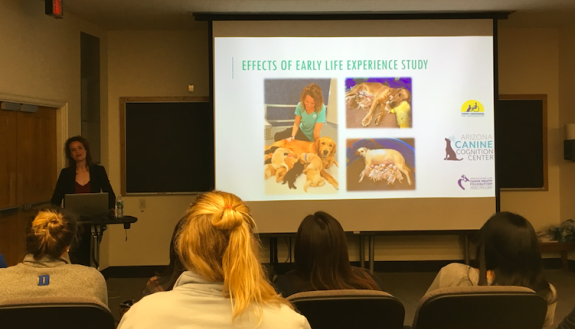 Emily Bray discusses her canine research