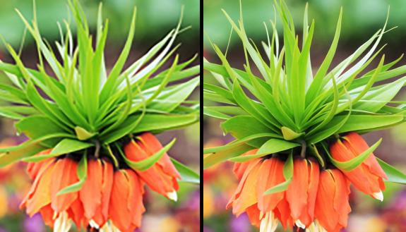 Students used A.I. to make these blurry images sharp. Before and after images show a low-resolution source image (left) and what the Duke Data Science Team was able to create from it (right).