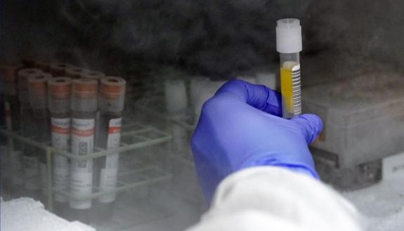 test vial being stored in freezer