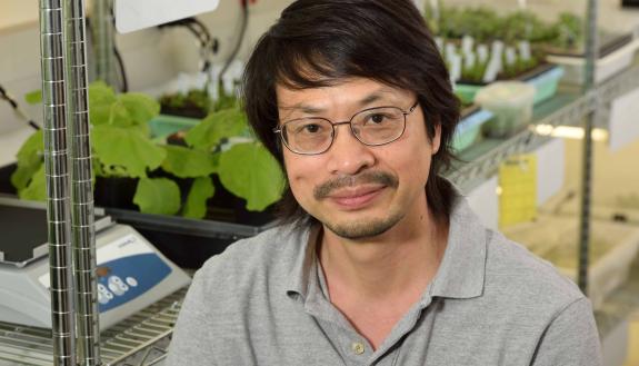 Sheng-Yang He is among the first new faculty recruited to Duke with assistance from a fund created by the Duke Endowment to advance faculty hiring in the sciences, addressing global issues such as climate change and epidemic diseases. Michigan State Univ.