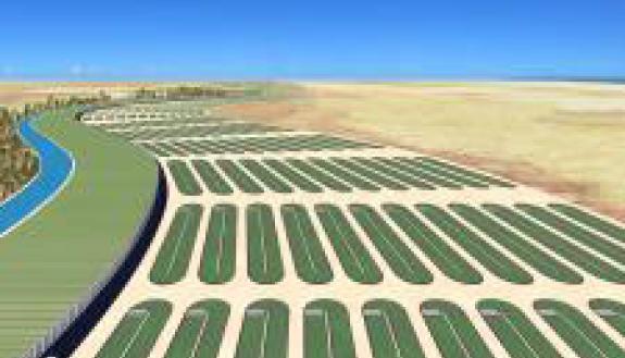 An artistic rendering of a commercial-scale microalgal production facility in the coastal desert. (Courtesy: Charles H. Greene)