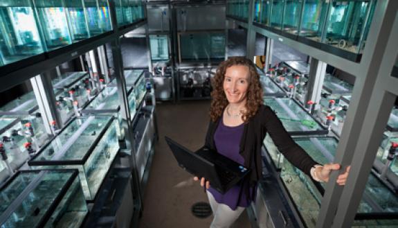 Sheila Patek photographed at her lab filled with mantis shrimp in the Biological Sciences building. Photo by Jon Gardiner/Duke University Photography