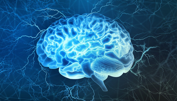 graphic of human brain showcasing neurological behavior