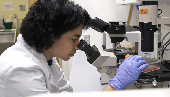 Duke lab technician studying RNA vaccines