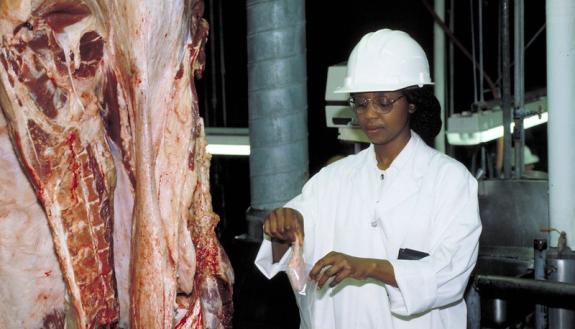 Ashton Merck: COVID-19 Is A Food Safety Issue