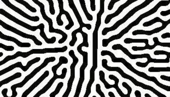 encoded bacterial growth pattern